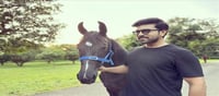 Meet Blaze - Ram Charan's New Equine Companion.!